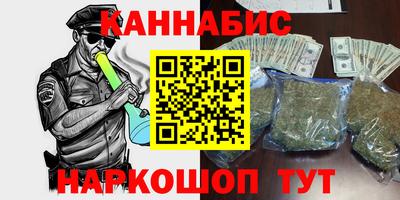индика Будённовск