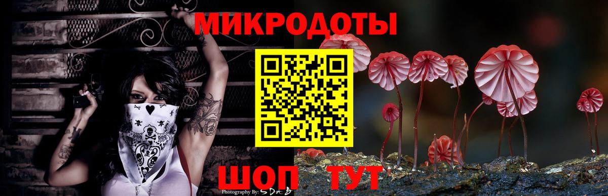 Псилоцибиновые грибы MAGIC MUSHROOMS Похвистнево
